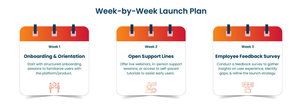 Week-by-Week Launch Plan