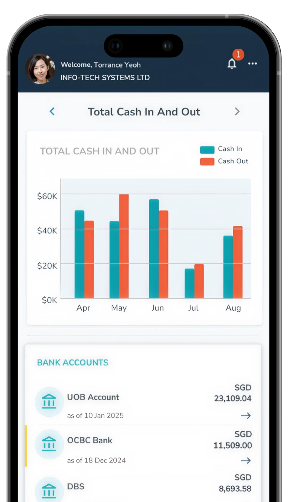 Accounting App Preview