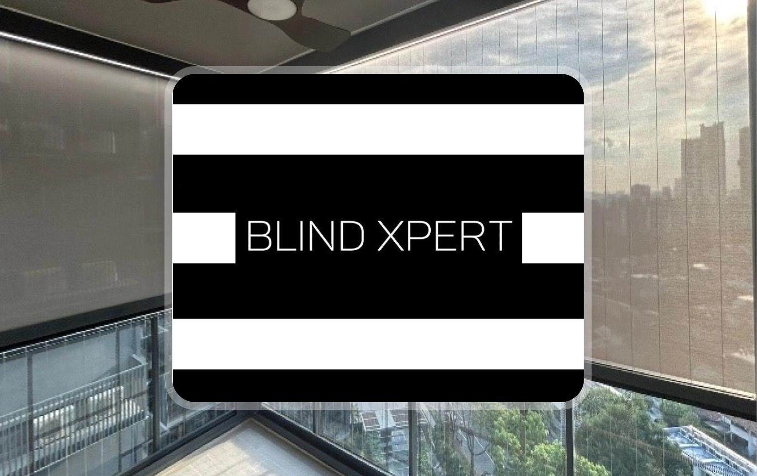 BlindXpert