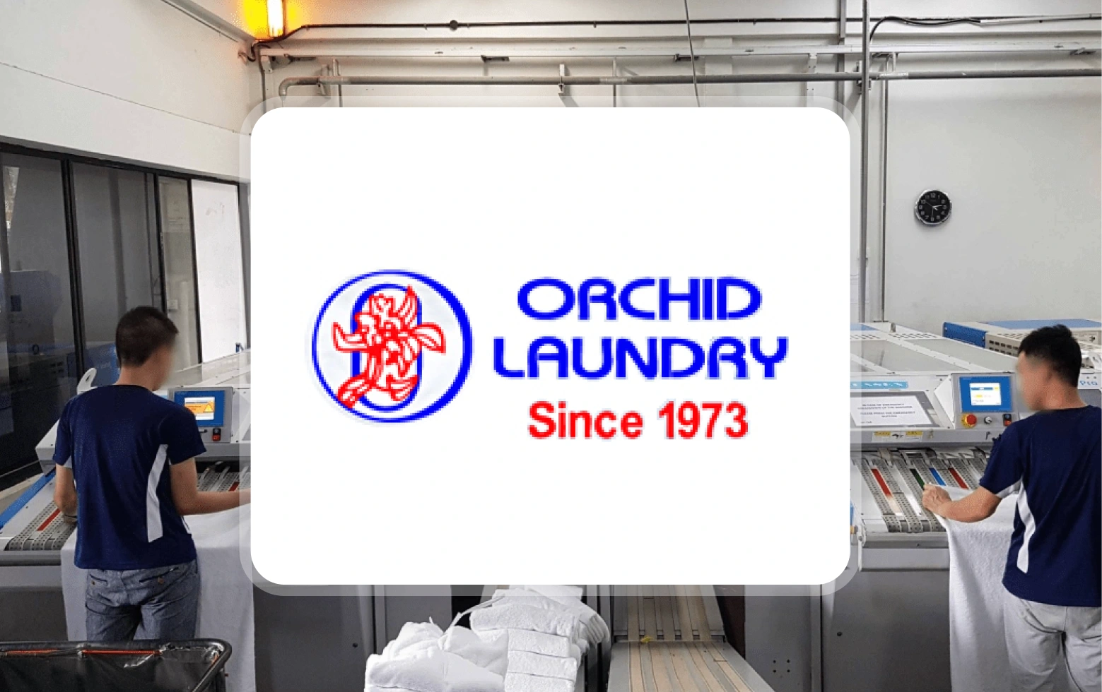 Orchid Laundry
